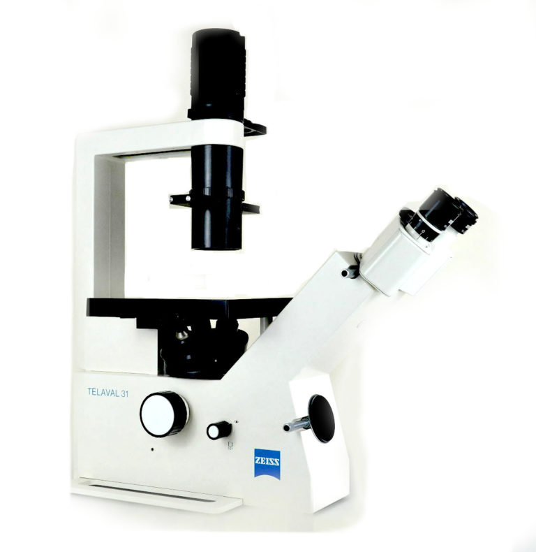 Microscope Zeiss Maroc