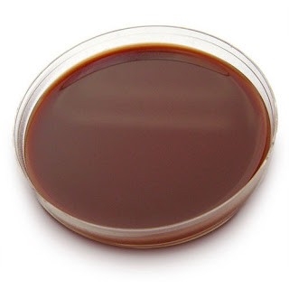 Articles scientifique : Gélose chocolat : Principes Compositions, utilisations des préparations et caractéristiques des colonies